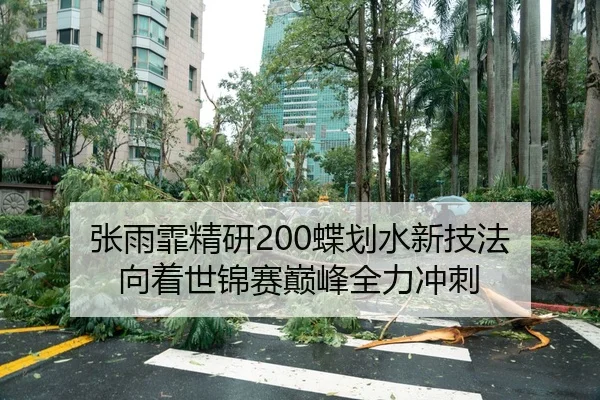 张雨霏精研200蝶划水新技法 向着世锦赛巅峰全力冲刺