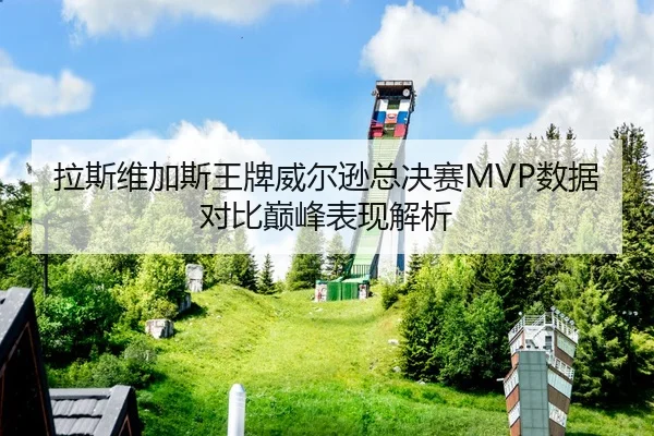 拉斯维加斯王牌威尔逊总决赛MVP数据对比巅峰表现解析